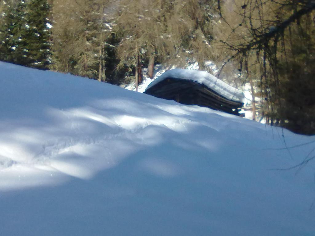 Landhaus Auen Neustift im Stubaital Exterior foto